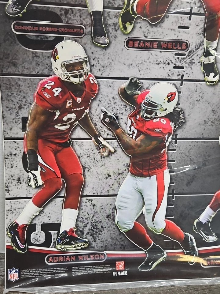 JUEGO DE GORRO POZOS DEL EQUIPO FATHEAD DE LOS CARDENALES DE Arizona larry fitzgerald adrian wilson  Foto 3 de 4
