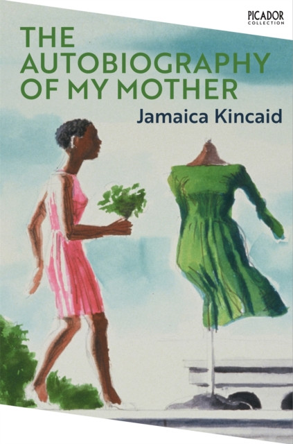 The Autobiography of My Mother by Jamaica Kincaid (Paperback Book)
