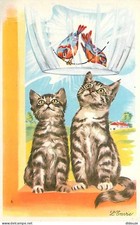 Postcard - Animals - Cats - Drawing - Illustration - Envy - Cat looked