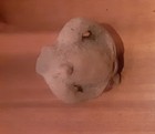 Bild 4 von 4
