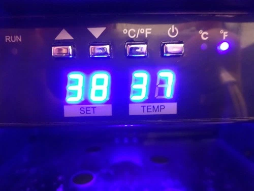 EdgeStar CBR1501SLD 24" Wide Stainless 142 Can Indoor/Outdoor Beverage Cooler - Picture 2 of 15