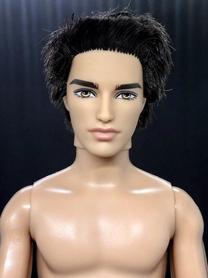 2012 Fashionistas Ryan Ken Barbie Doll Life in the Dreamhouse for OOAK Repaint