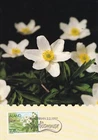 FINLAND ALAND 1997 FOUR FIRST DAY COVERS ON MAXI CARDS, SPRING FLOWERS