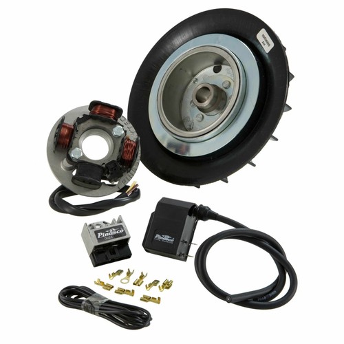 EVOK 246019000 Elektronisches Steuergerät Mit Variablem Zündzeitpunkt Für Vespa-zündungen