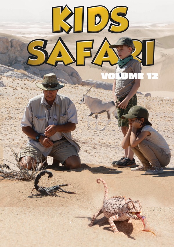 Feature Film Kids Safari: Volume Twelve DVD New 810071448928