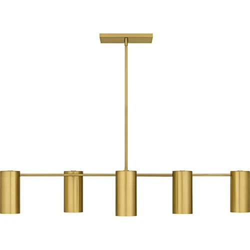 Quoizel FLD650 Foreland 6 Light 50"W Linear Chandelier - Black - Picture 11 of 12