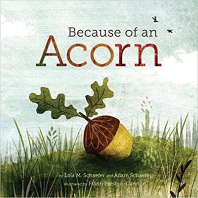 Because of an Acorn - Paperback By Lola M. Schaefer - GOOD