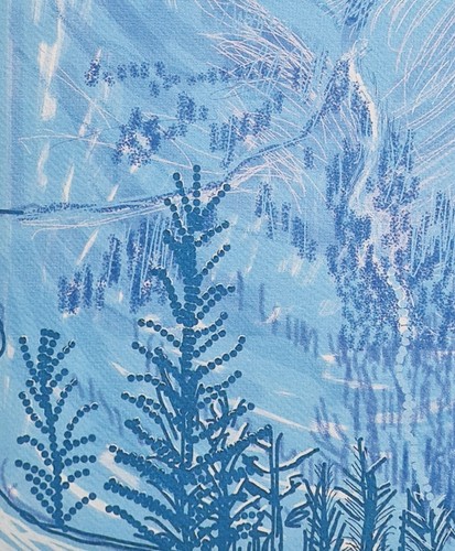 DAVID HOCKNEY * Yosemite * 50 x 35 cm * Litografía firmada * limitada # 35/500 - Imagen 3 de 6