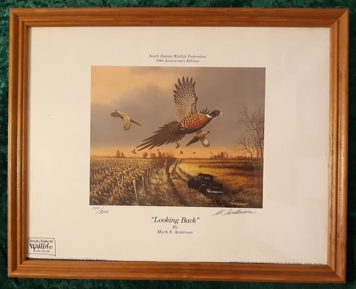 Mark Anderson Limited Edition Signed Print - 1995 SD Wildlife 