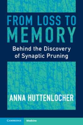 From Loss to Memory: Behind the Discovery of Synaptic Pruning by Huttenlocher
