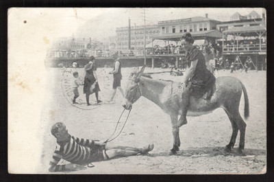 Postcard Atlantic City NJ ''three of a kind'' beach scene Donkey  Posted 1903