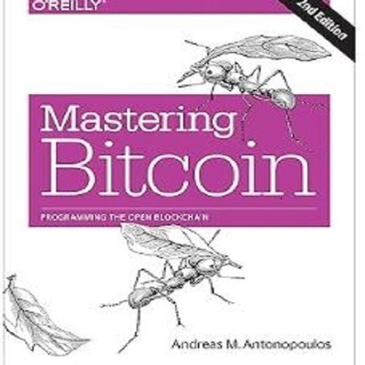 oreilly Mastering Bitcoin 2nd Edition Paperback