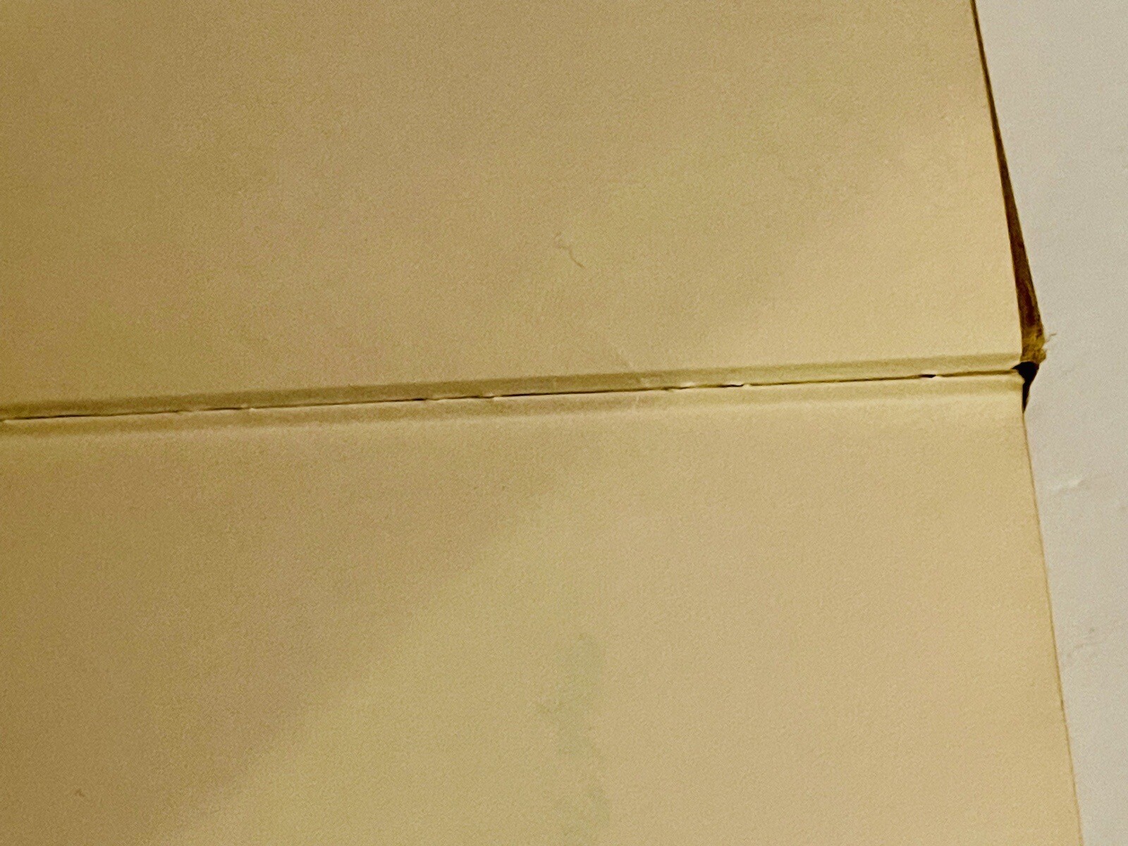 Picture 7 of 18