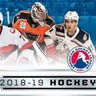 2018-19 Upper Deck AHL Hockey Cards (All Versions) Pick From List