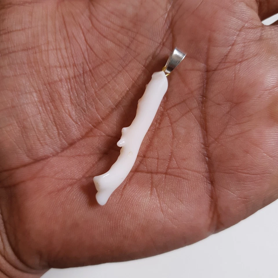 Hermoso Colgante Blanco Japonés Coral Marino Rama Coral Natural Collar Colgante Foto 4 de 4