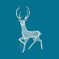 Seasonal Outdoor Decorations