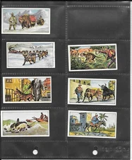 GRANOSE FOODS - ANIMALS IN THE SERVICE OF MAN - 1965 - NO.14 - RARE CARD