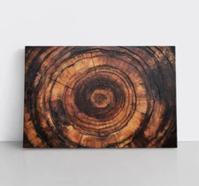 Tree Rings Brown Wood Framed Canvas Wall Art Decor, Nature, Natural Rustic Cabin