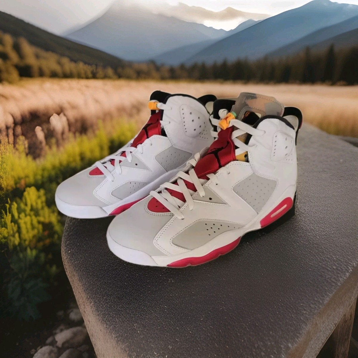 Air Jordan 6 ピーターラビット s-l1200.jpg