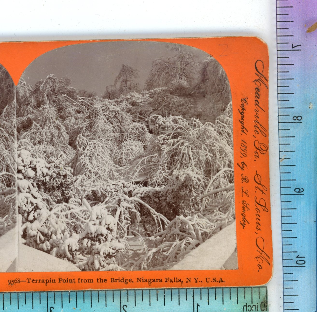 Terrapin Point from the Bridge Niagara Falls Keystone Stereoview