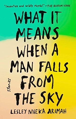 What It Means When a Man Falls from the Sky: Stories-Lesley N .9