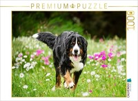 Puzzle Calvendo Magie Des Fleurs | 1000 PièCes, Format Assemblé 64 × 48 Cm | Puz