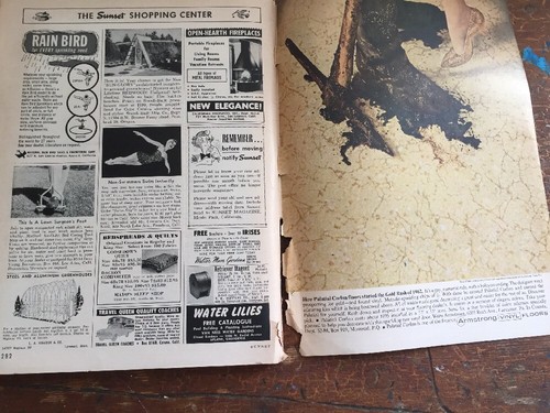 May 1962 Sunset Magazine Mid Century MCM Sequoia National Park - Picture 10 of 11