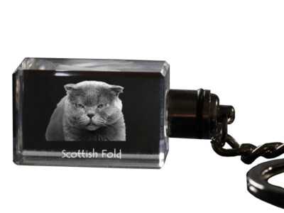 Scottish Fold - wall clock with a cat, shelf clock with a print, personalized ho