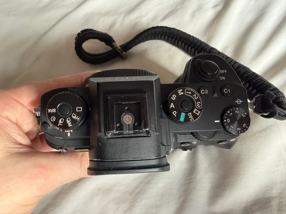 Sony Alpha 9, photo 4 of 5