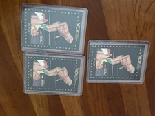 Ric Flair Card Lot