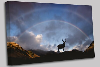 Rothirsch Hirsch in Glencoe Schottisches Hochland Leinwand Wandbild Bild Druck