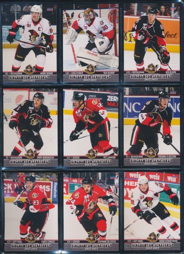 2006-07 to 2015-16 Choice Binghamton Senators AHL Team Set Single Cards - U PICK - Picture 82 of 194