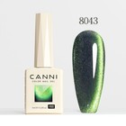 Bild 242 von 274