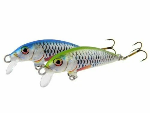 Fishing Crankbaits
