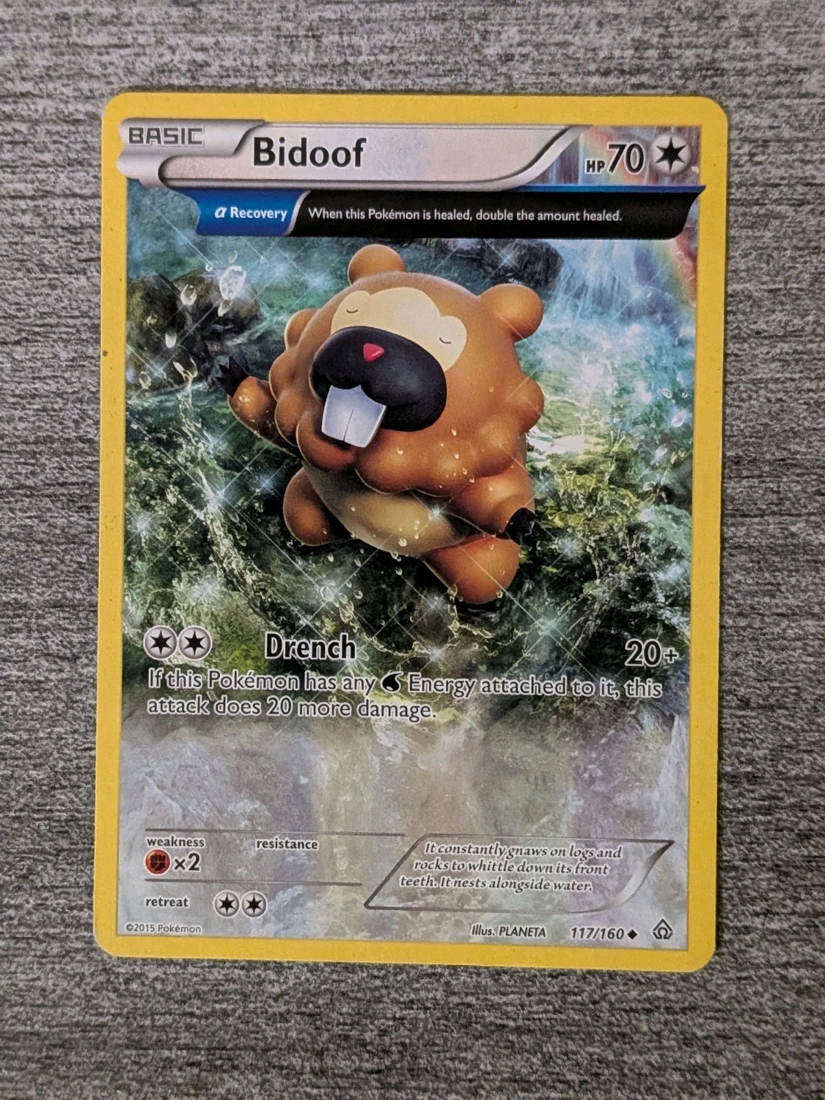 Bidoof (Alpha) 117/160 XY-Primal Clash Regular - 884