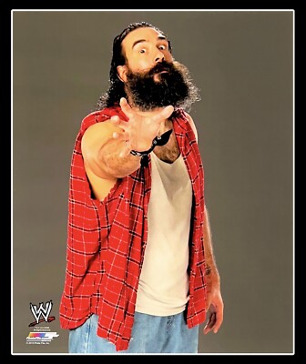 WWE LUKE HARPER OFFICIAL LICENSED 8X10 WRESTLING PHOTO AUTHENTIC PHOTO FILE 1