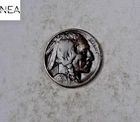 1928-D Buffalo Nickel ~ VF/XF ~ ZB147