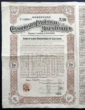 1913 Johannesburg, South Africa: Consolidated Langlaagte Mines Limited Transvaal