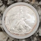 2005 American Silver Eagle 1 oz Fine Silver Beautiful Coin! Capsule ~ NO RESERVE