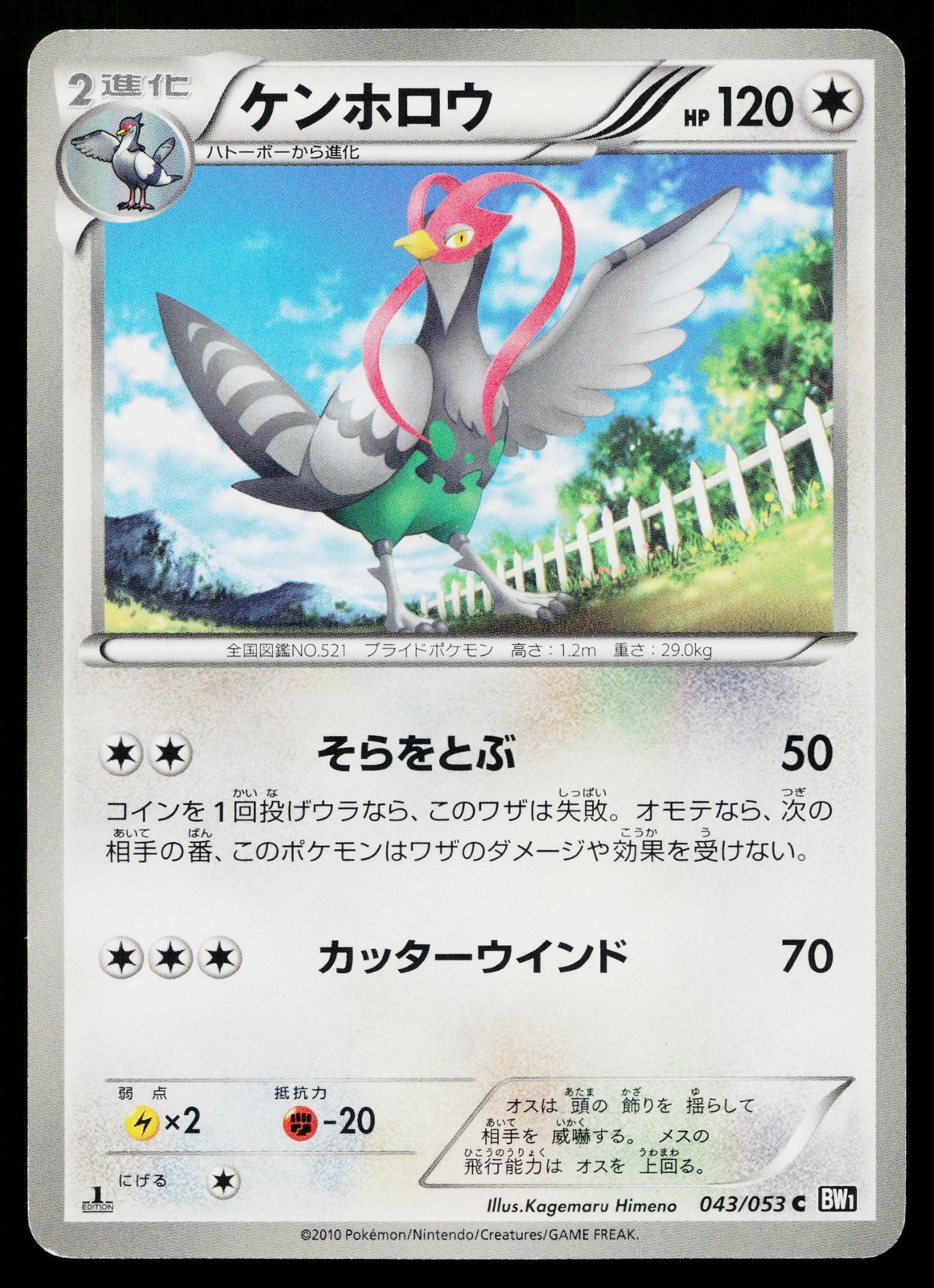 Unfezant 043/053 Common Black Collection Pokemon Japanese Lightly Played