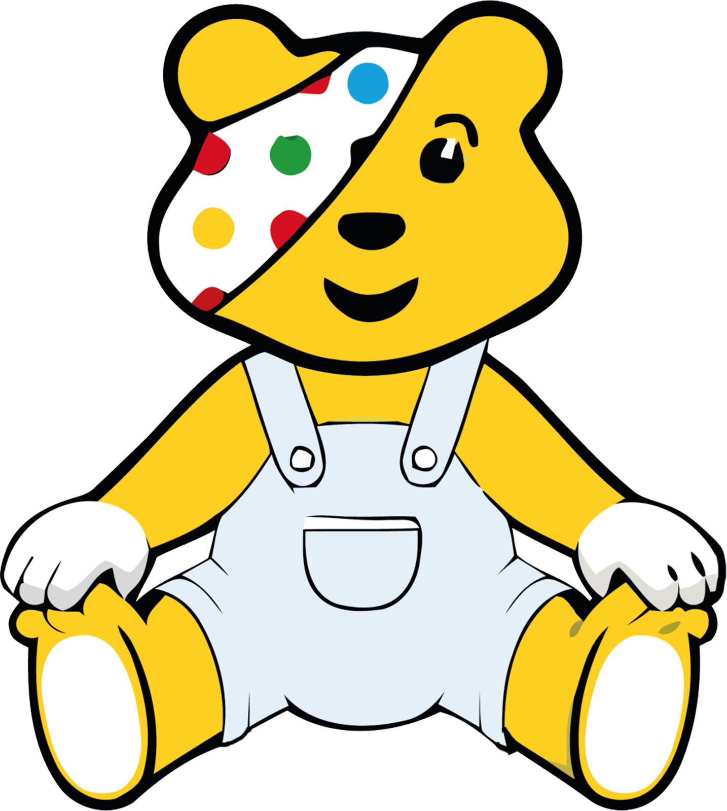 Fabric Iron on DTF Heat Transfer Pudsey Bear A5 A5 A3 eBay