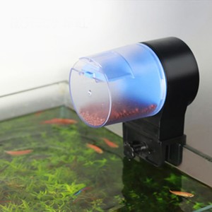 automatic shrimp feeder