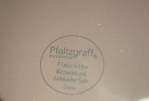 One Pfaltzgraff FLEURETTE Flower Dinner Plate1 11" Coupe Brown Cream 8 Available - Picture 6 of 6