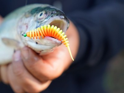 Trout Master Worm 6,5 cm Gummiwürmer Forellenköder