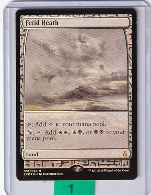 吹きさらしの荒野 [EXP] ゼンディカーエクスペディション Foil Fetid Heath Zendikar Expeditions Foil for sale online | eBay