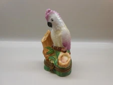 Authentic Limoges Box France - Tropical Cockatiel Bird - Puy De Dome Company