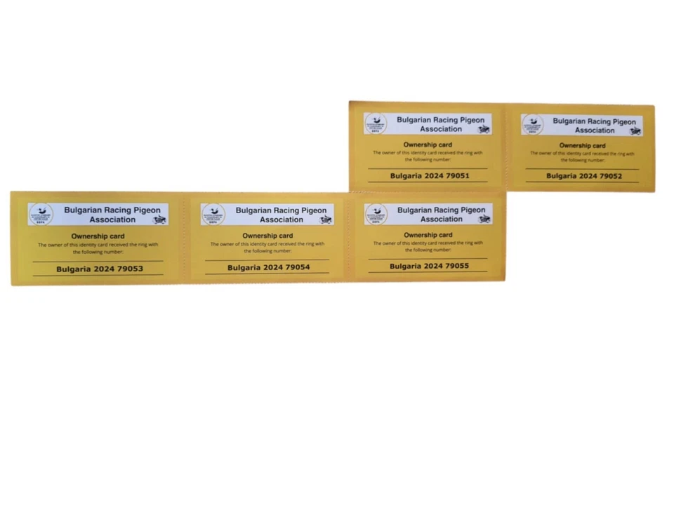 5 Brieftaubenringe 2024 BG Taubenringe FCI Eigentumszertifikat Ring Bulgarien - Bild 3 von 3