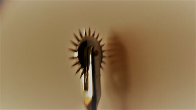 Nervenrädchen nach Wartenberg 1 Rad 18,5 cm  V
