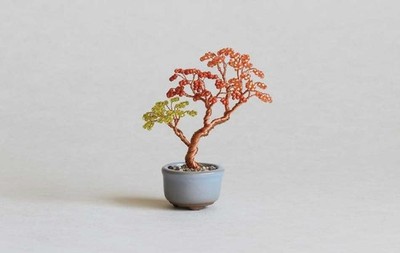 Japanese Planters' Choice Bonsai toy Starter Kit 
