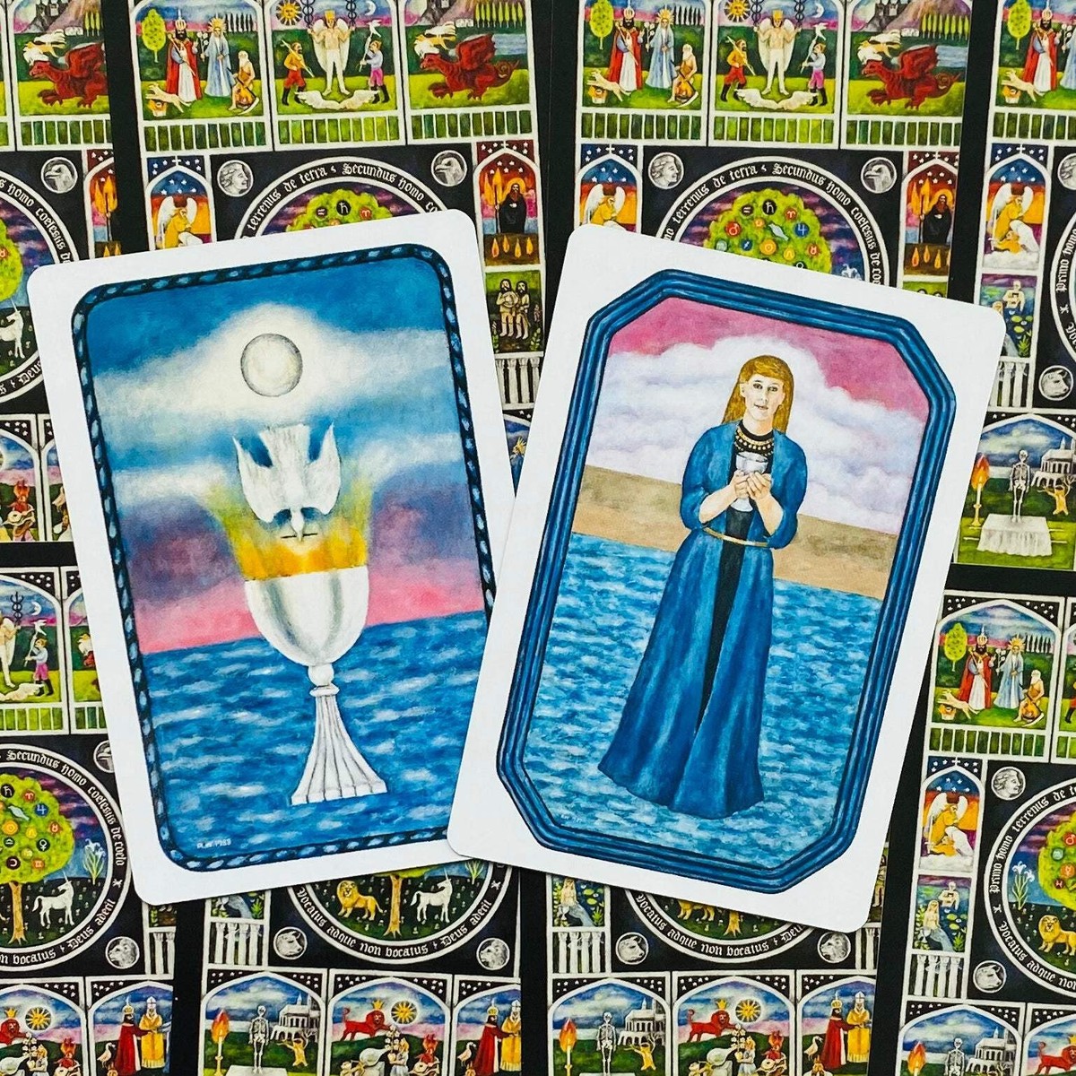 Tarot Psychologie Rovrt Wang ★KIT◎新品 THE JUNGIAN TAROT CARDS DECK ROBERT WANG ESOTERIC TELLING US